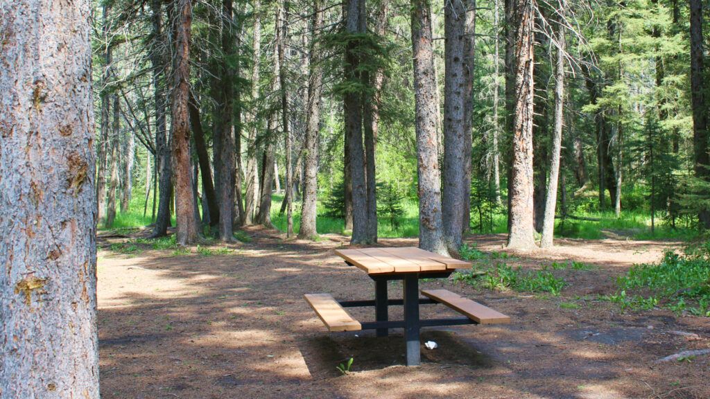 day use area picnic table surrounded by trees in fish creek park