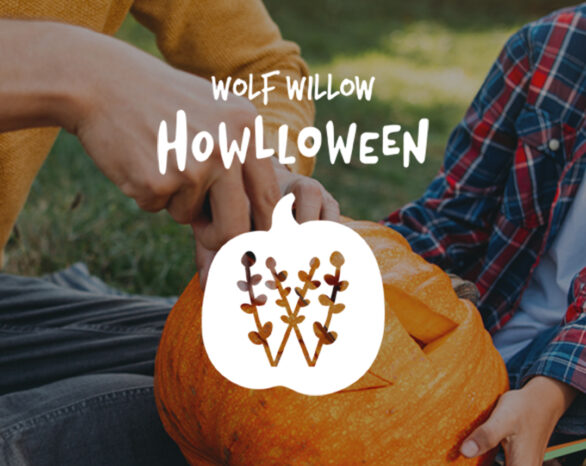 Text reading Wolf Willow Howloween over a photo of pumpkin carving.