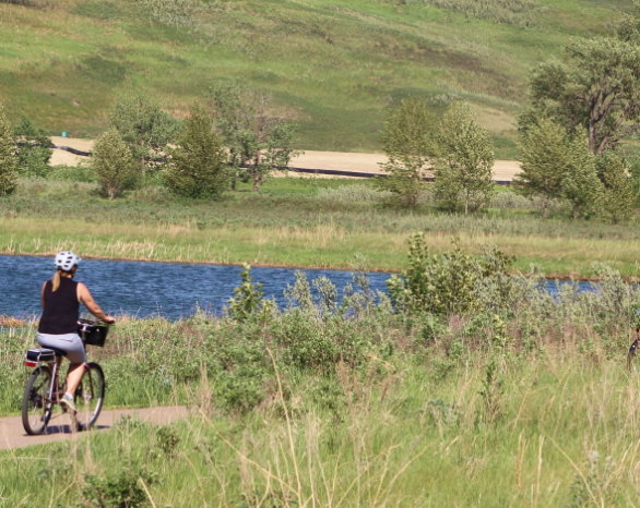 A person rides a bike along the Bow River in Wolf Willow.