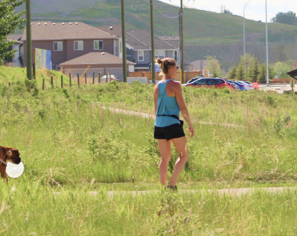 Two people and a dog walking in Wolf Willow during summer.