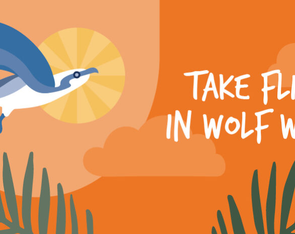 An illustration of an osprey flying in an orange sky.