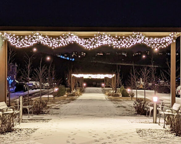 Christmas lights set up in snowy Promenade Park in Wolf Willow.