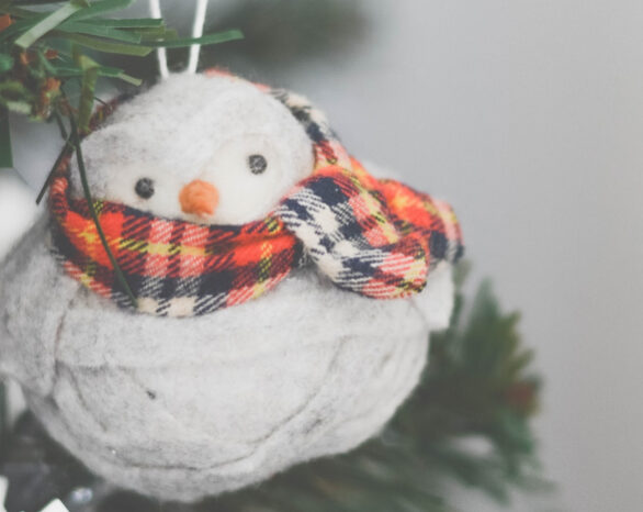 Christmas ornament of a bird wearing a red and black scarf.