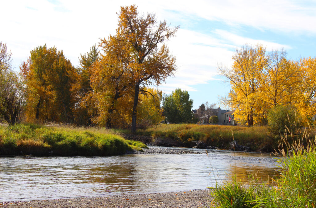 fish creek park in the autumn near the bow river