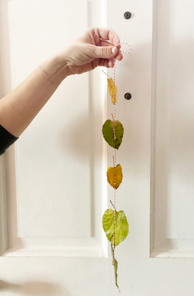 preserved autumn leaves on a string